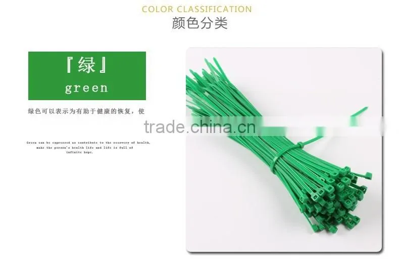 Heat Resisting Nylon 66 Cable Ties