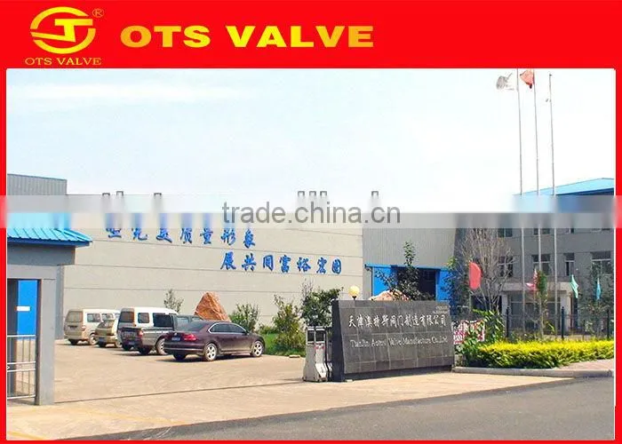 SS304 wafer type single disc valve check