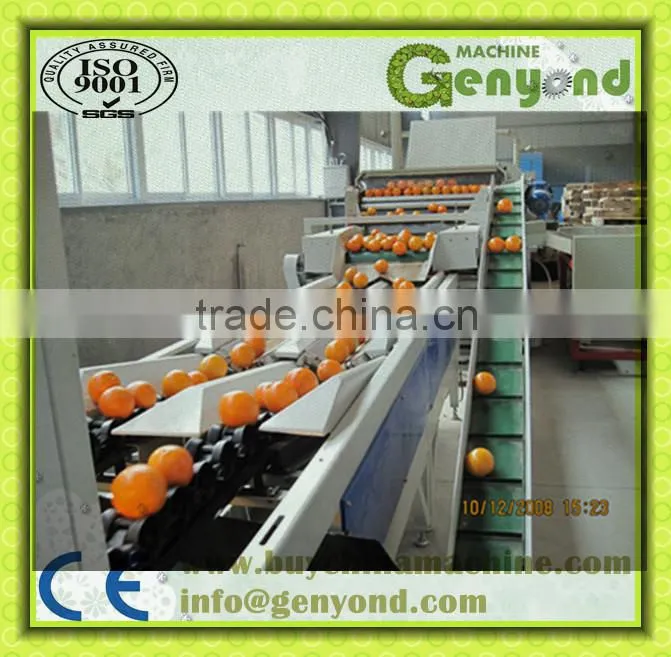 orange opto-electronic grading line