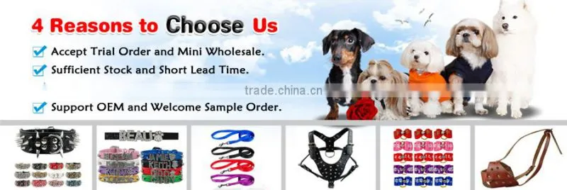 Yiwu Berry Four Legs Bear Cosplay Costume Dog Winter Clothes