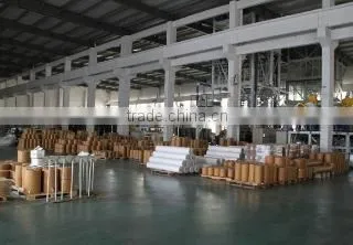 Jiangyin Bairuijia Plastics Science & Technology Co., Ltd. company overview - view 2