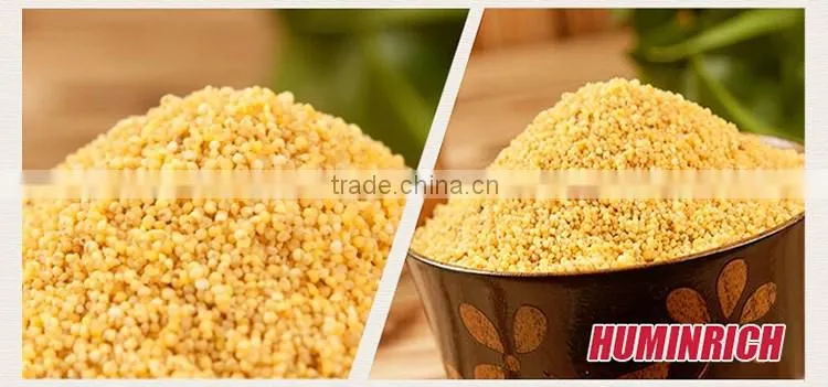 FAQ 23--How To Use Huminrich NPK Fertilizer For Millet?