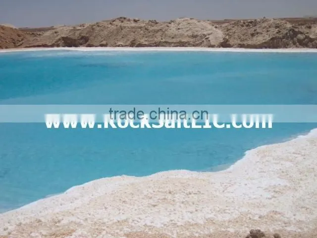 Bulk Sodium Chloride l Egypt Rock Salt 98% l SGS