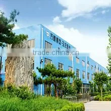Shandong Wanhao Paper Group Co., Ltd. company overview - view 4