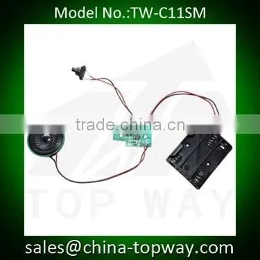 Advertising recordable voice module with motion sensor