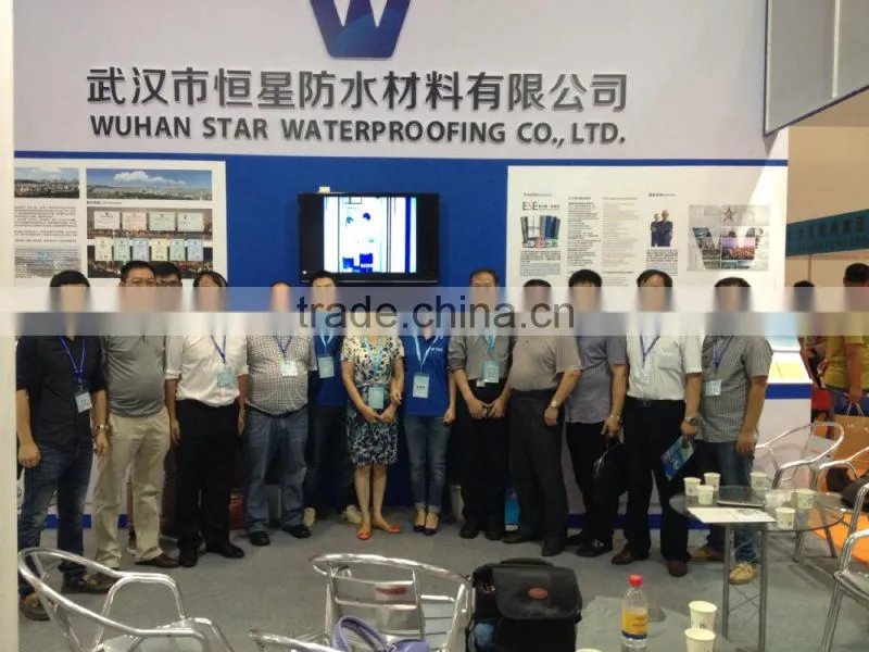 Type A Water leakage Polymer cement waterproof coating