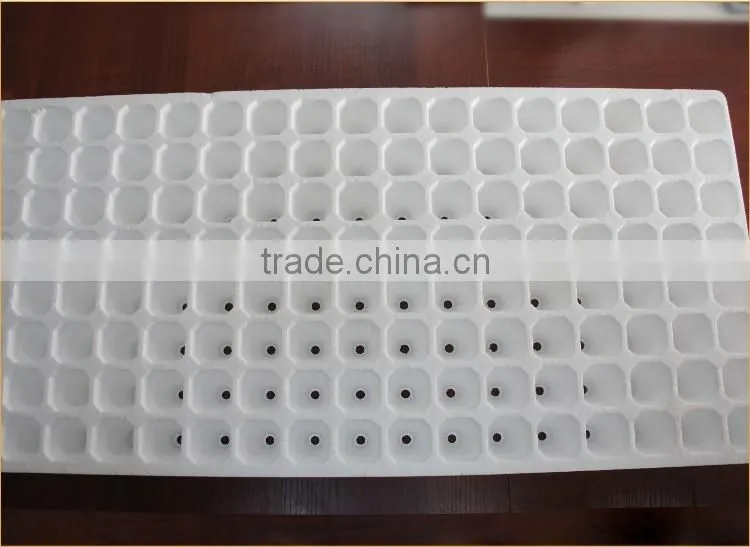 Wholesale Vegetable EPS Box Moulds/Helmet Moulds