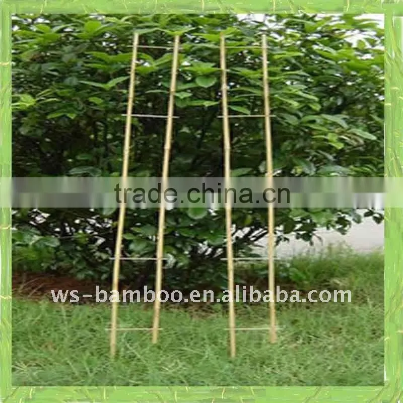 Bamboo ladder