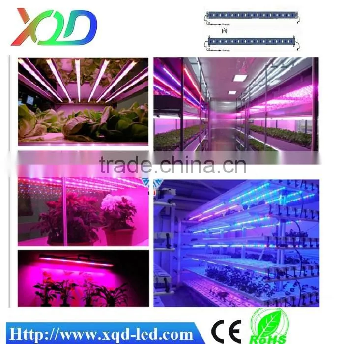 XQD shenzhen solar power 3gp king 12W led grow light