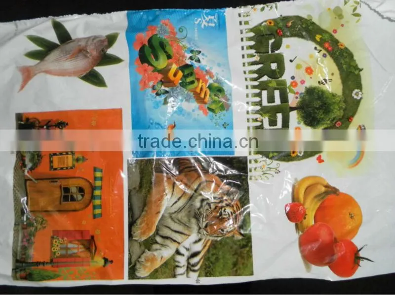 Letterpress type plastic bag roll to roll Flexo printing machine
