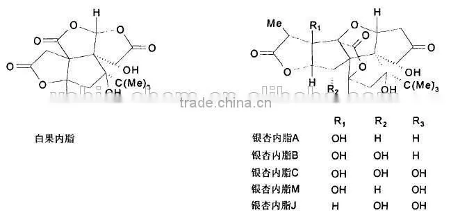 High Quality Natural Ginkgo biloba Extract/Ginkgo biloba Extract Powder