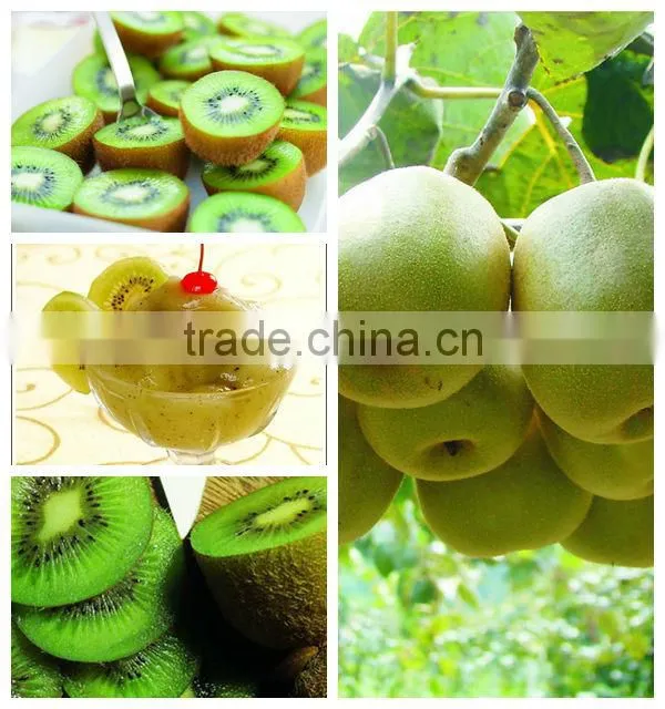 Hot sale ! fruit pulp extractor machine