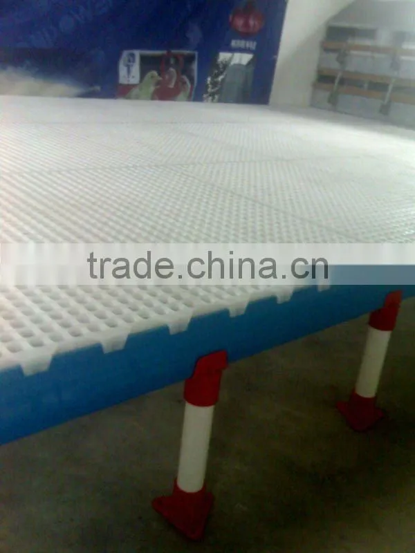 Plastic poultry slat