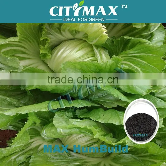 60% Humic Acid For Vegetables Fertilizer