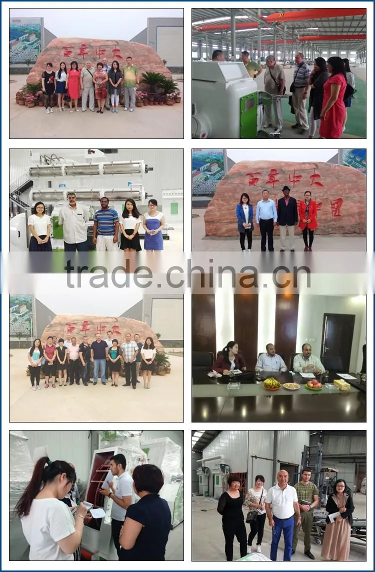 Supplied from 20 years' Factory Top Class Quality Siemens Motor 5 T/H Animal Poultry Chicken Feed Pellet Mills