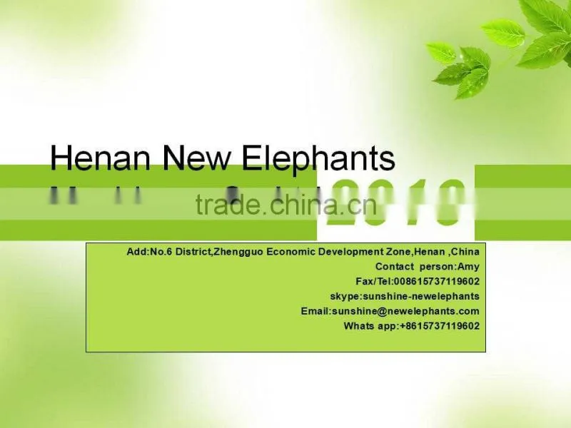 6YL-95 New Elephants Dry olive oil press for sale