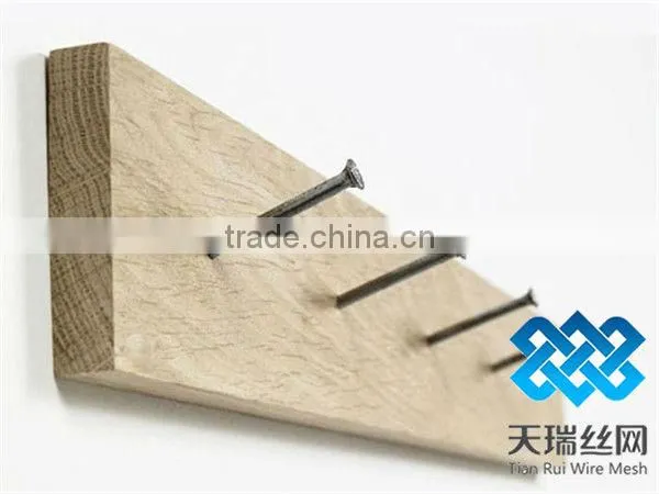 Nail/wire nail/common nails