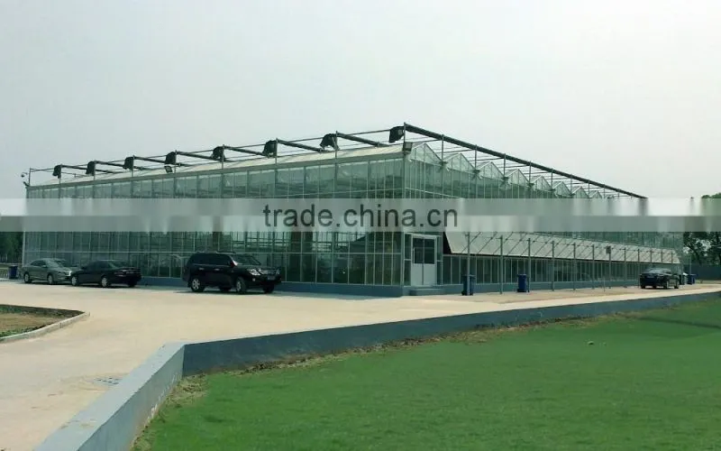 Modern external blinds seedling in greenhouse