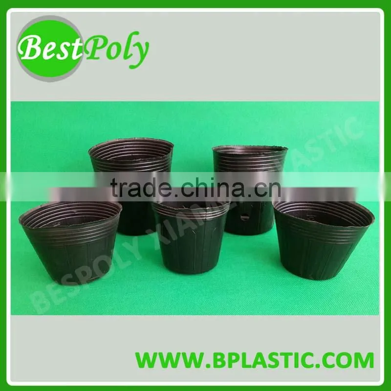 high quality plastic orchid phalaenopsis seedling pot for sale