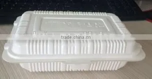Adult collapsible pp lunch box
