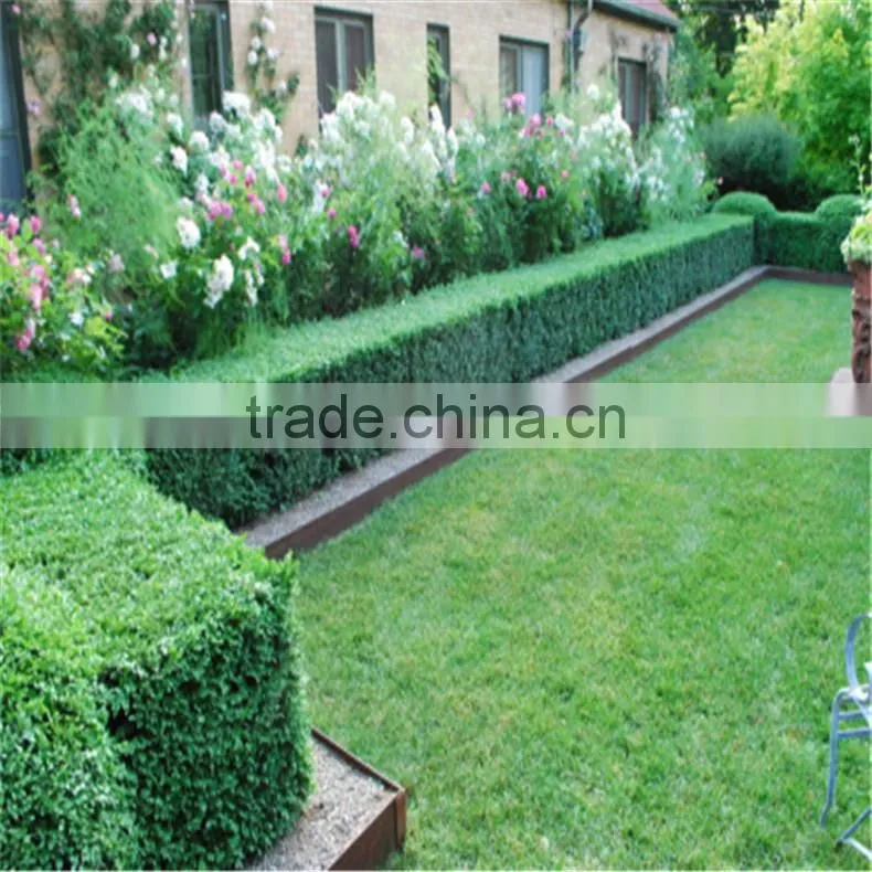 artificial turf for golf field fake grass for sport field