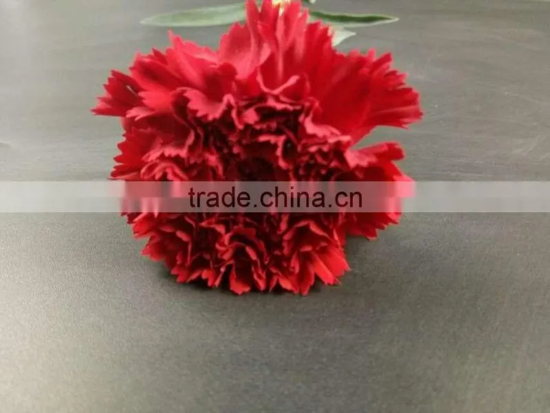 Wedding Decoration Centerpieces Fresh Cut Flower Carnation Exporting From Yunnan