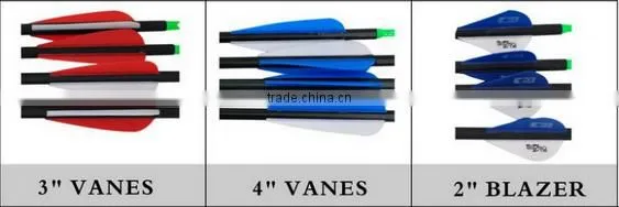 Carbon Arrows With Automatic Lighted Led Nocks/S nocks And Blazer Vanes