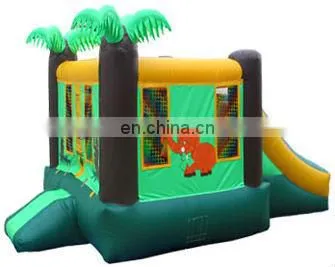 Funny inflatable combo