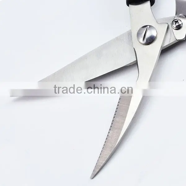 baber tools and equipment kitchen household items decorative scissors