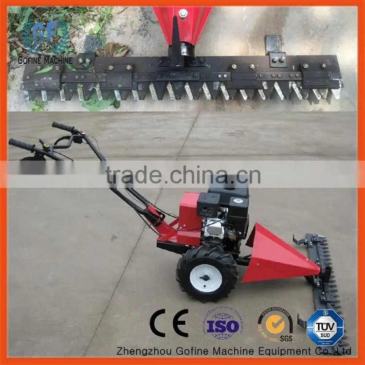 gasoline lawn mower