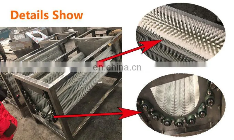 China hot selling sweet potato washing machine/ sweet potato cleaning machine/ industrial sweet potato washer