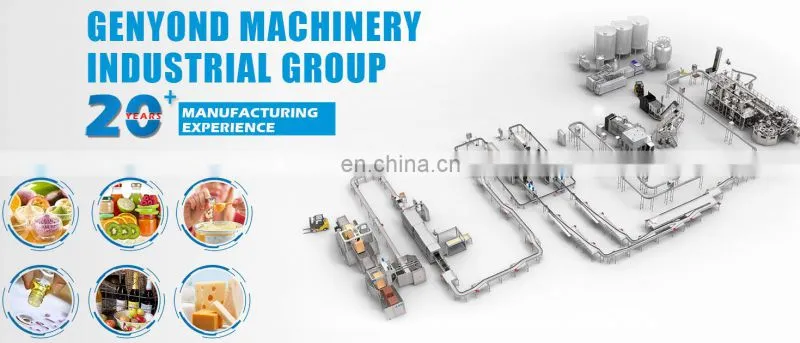 Small mango processing machine
