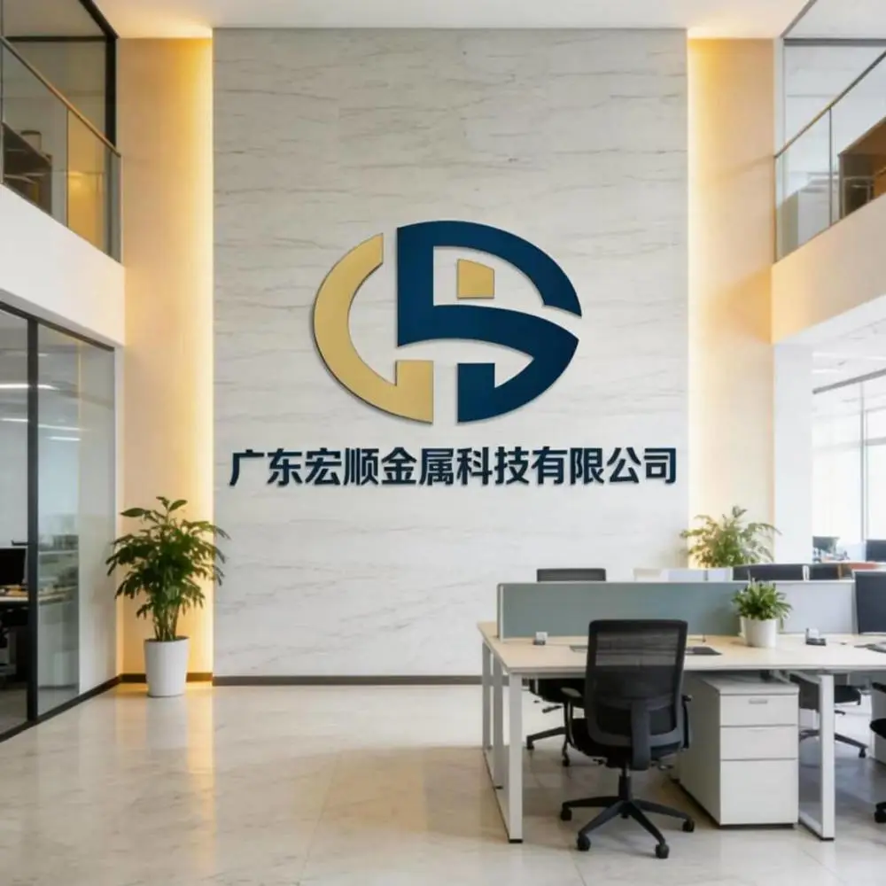 Guangdong Hongshun Metal Technology Co., Ltd. company overview - view 1