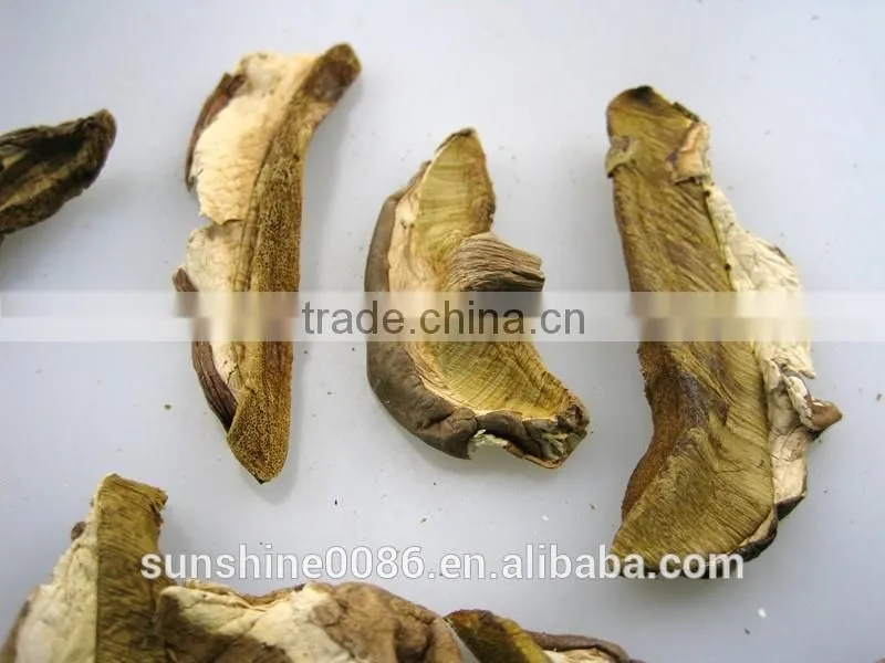 Dried boletus mushroom