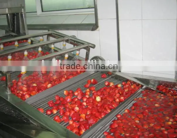 iqf strawberry with FDA certificate