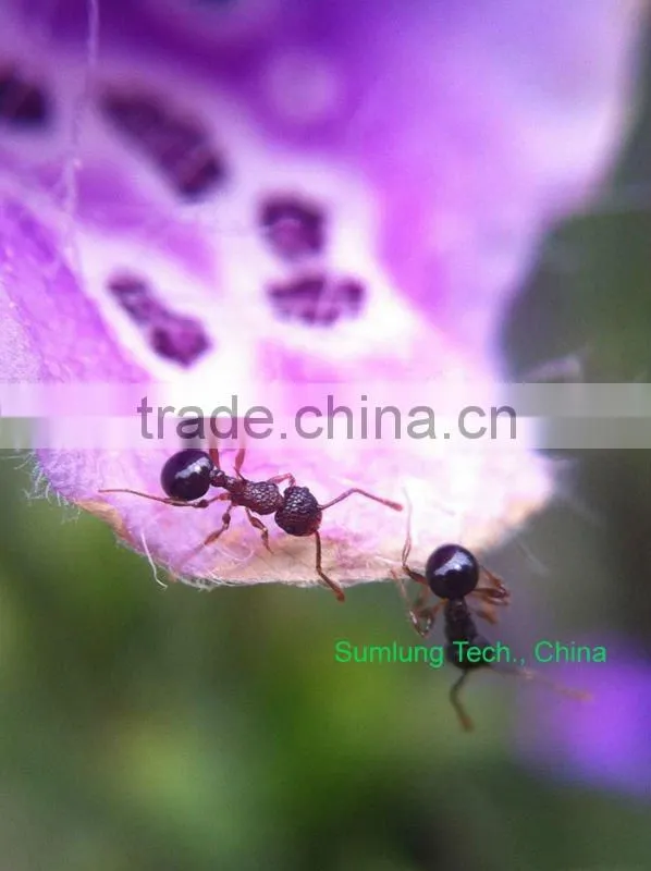 For galaxy S3 i9300 0.67X Wide Angle Macro Fixed Focus Camera Lens