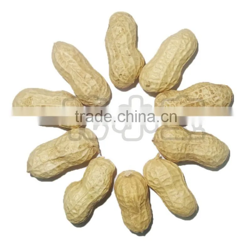 Peanut