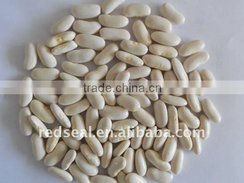 medium white kidney beans