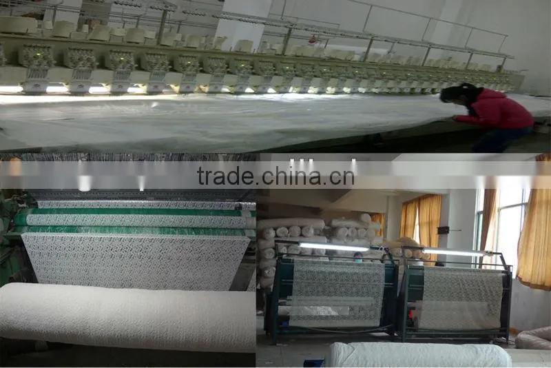 Indian Lace Fabrics/swiss voile lace in switzerland-APN6524
