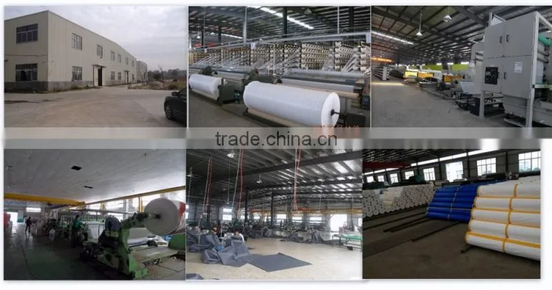 China Tarpaulin Factory Price Green Polyethylene Woven Tarpaulin Fabrics