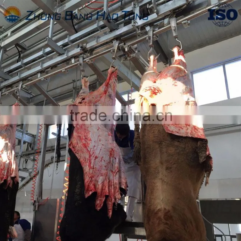 cattle skin removing machine with motorized elevating roller for cattle slaughterhouse