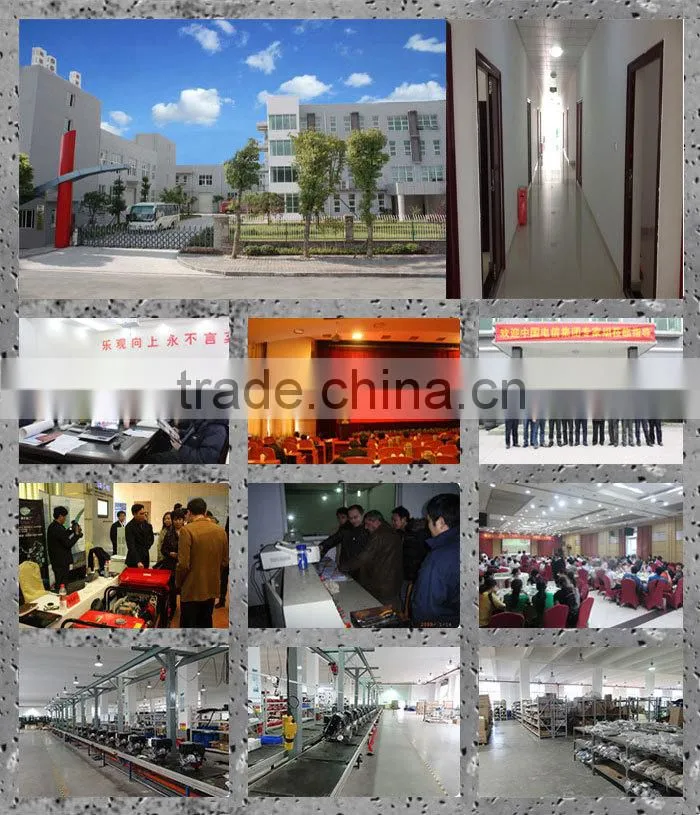 Brushless AC single phase electric start 10kw permanent magnet generator