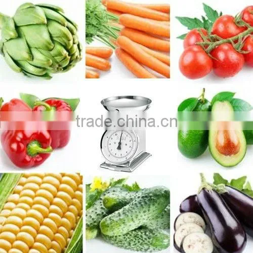2013 High Quality Mechanical Kitchen Scale Household Scales For Weighing Scales for fruit/food/vegetable