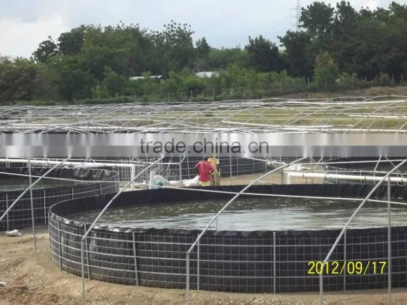 outdoor fish tanks system for tilapia farming