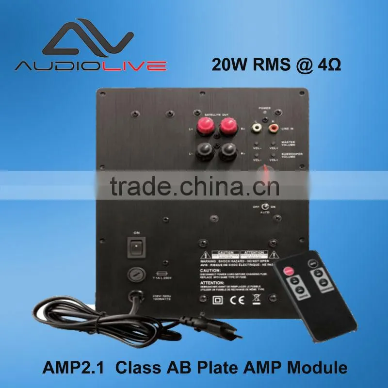 AMP2.1 New Professional CLASS-AB Subwoofer Amplifier