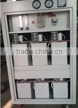 Psa Oxygen Generator Psa Oxygen Production Generator for Fish Farm