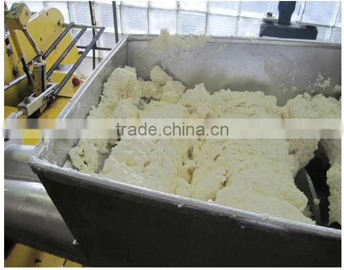 Cheese processing Machinery