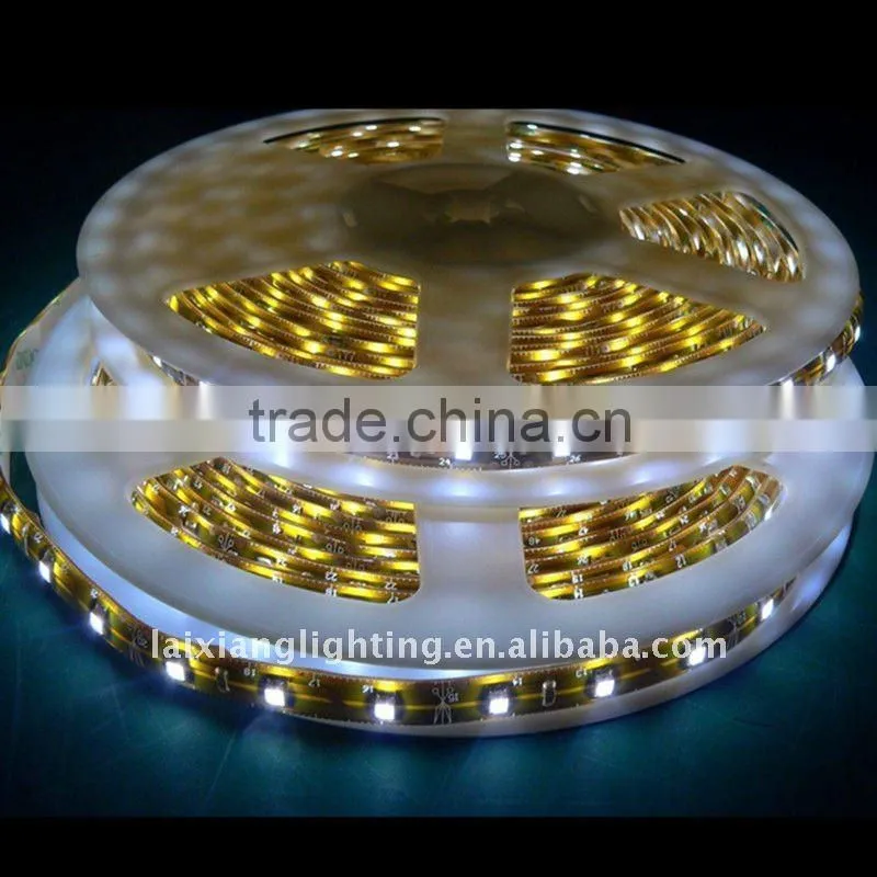 China factory LED wall decoration light,LED rope light