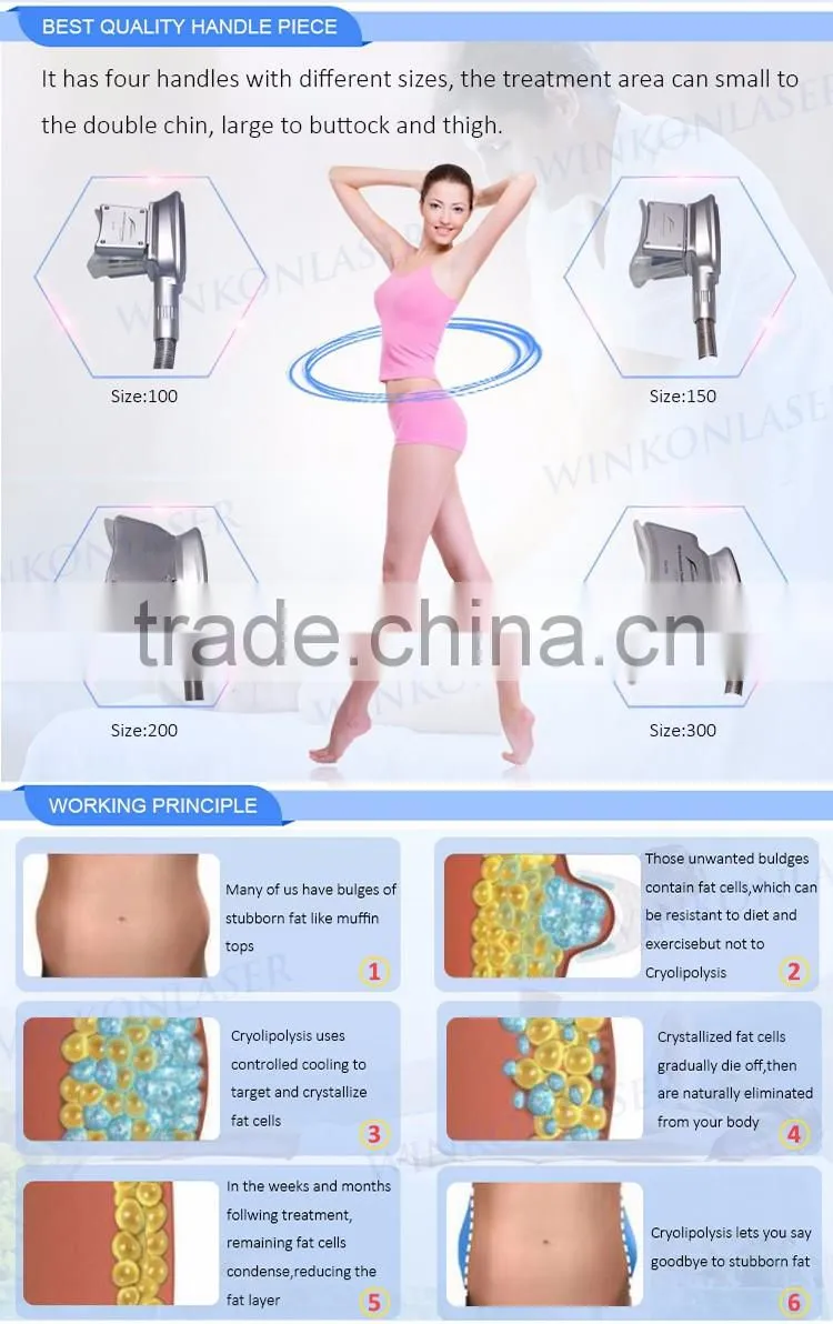 Hot sale 4 handles body shape equipment fat freeze slimming cryolipolysis machine for sale