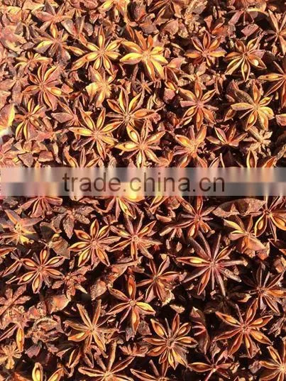 SUPPLY CLOVES (Call: +84 1687264621)